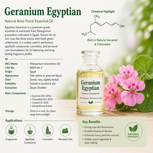 Geranium egyptian