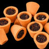Sambrani Cup Manufacturer | Wholesale Supplier India – Raiko Innovative
