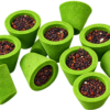Sambrani Cup Manufacturer | Wholesale Supplier India – Raiko Innovative