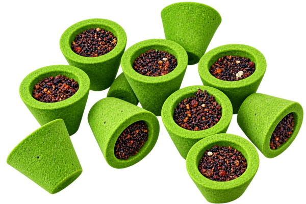 Sambrani Cup Manufacturer | Wholesale Supplier India – Raiko Innovative
