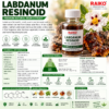 Labdanum Resinoid | Premium Amber Resin Fragrance Raw Material for Perfume & Agarbatti