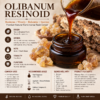 Olibanum Resinoid CAS 8016-36-2 | Frankincense Resinoid for Agarbatti & Perfume META DESCRIPTION
